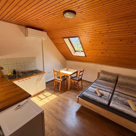 Hisa Patricija * 소카