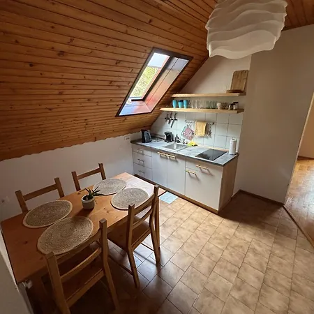 Apartment Hisa Patricija Soca