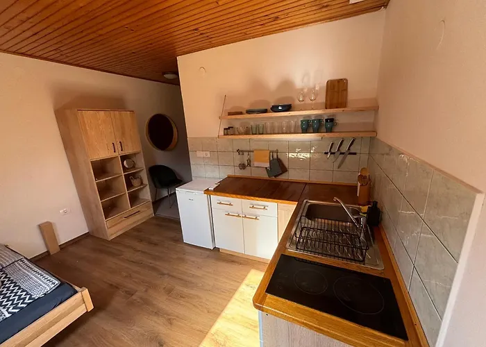 Hisa Patricija Appartement *