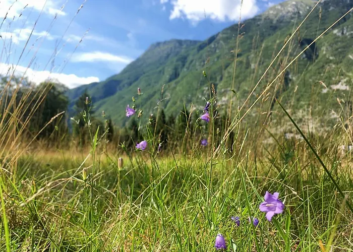 Appartement Hisa Patricija